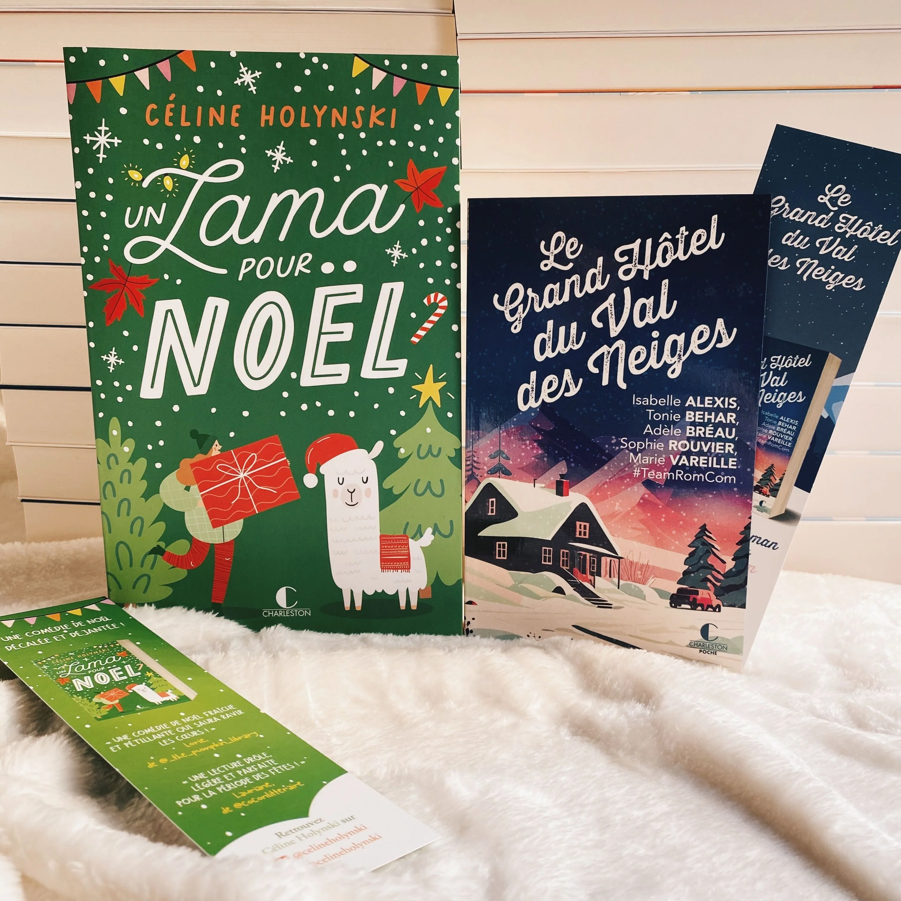 Box de Noël 2023 - Image 6