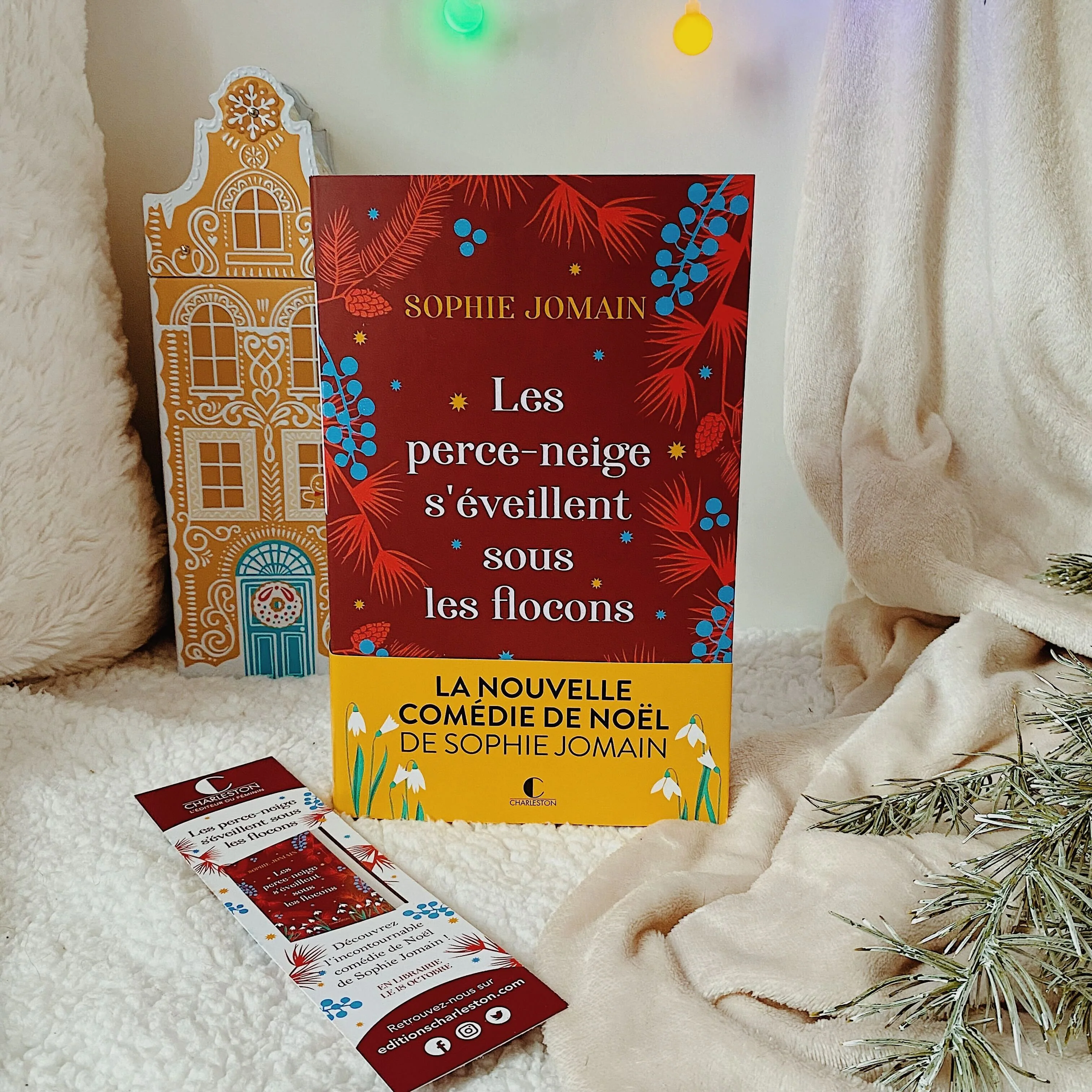 Box de Noël 2022 - Image 16