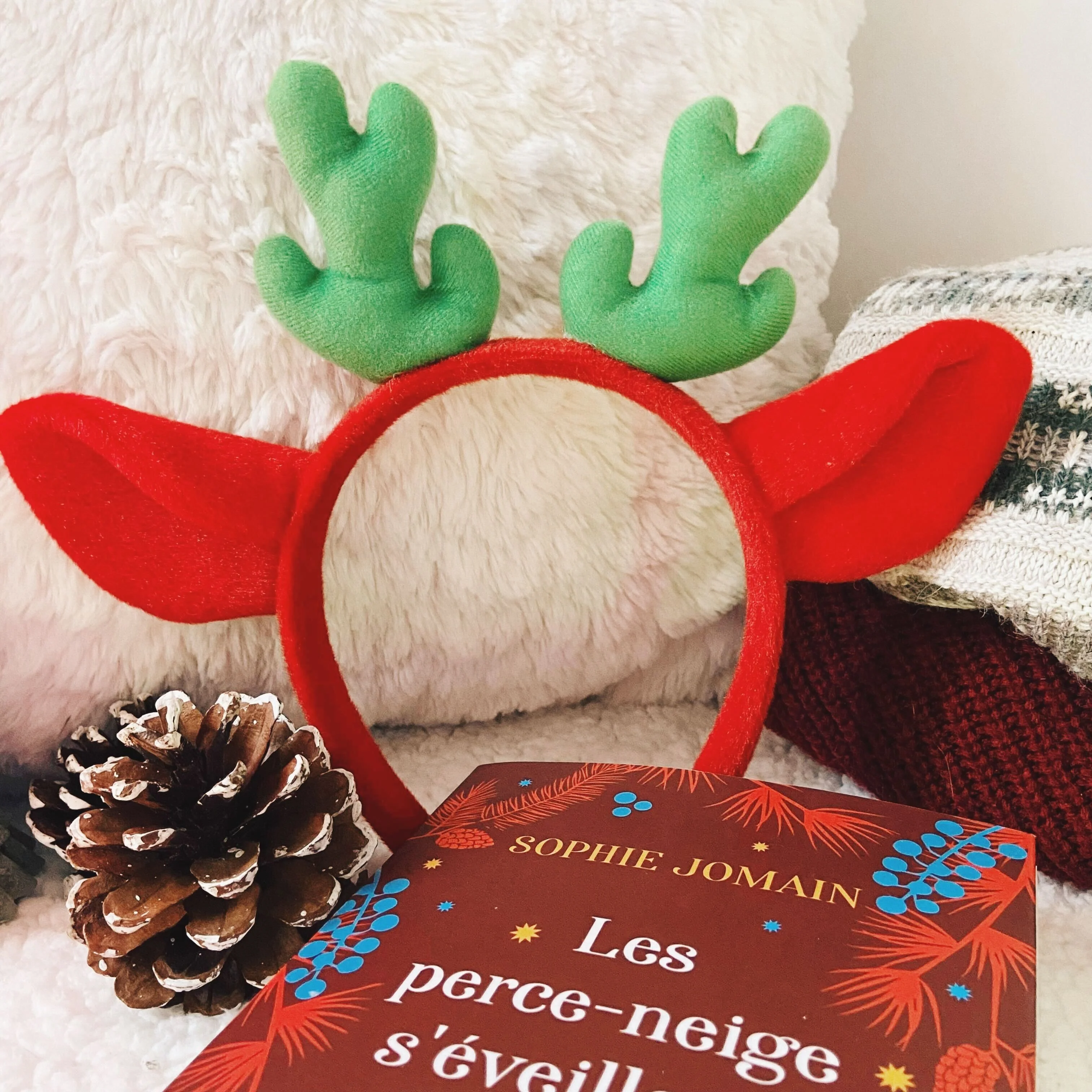 Box de Noël 2022 - Image 4
