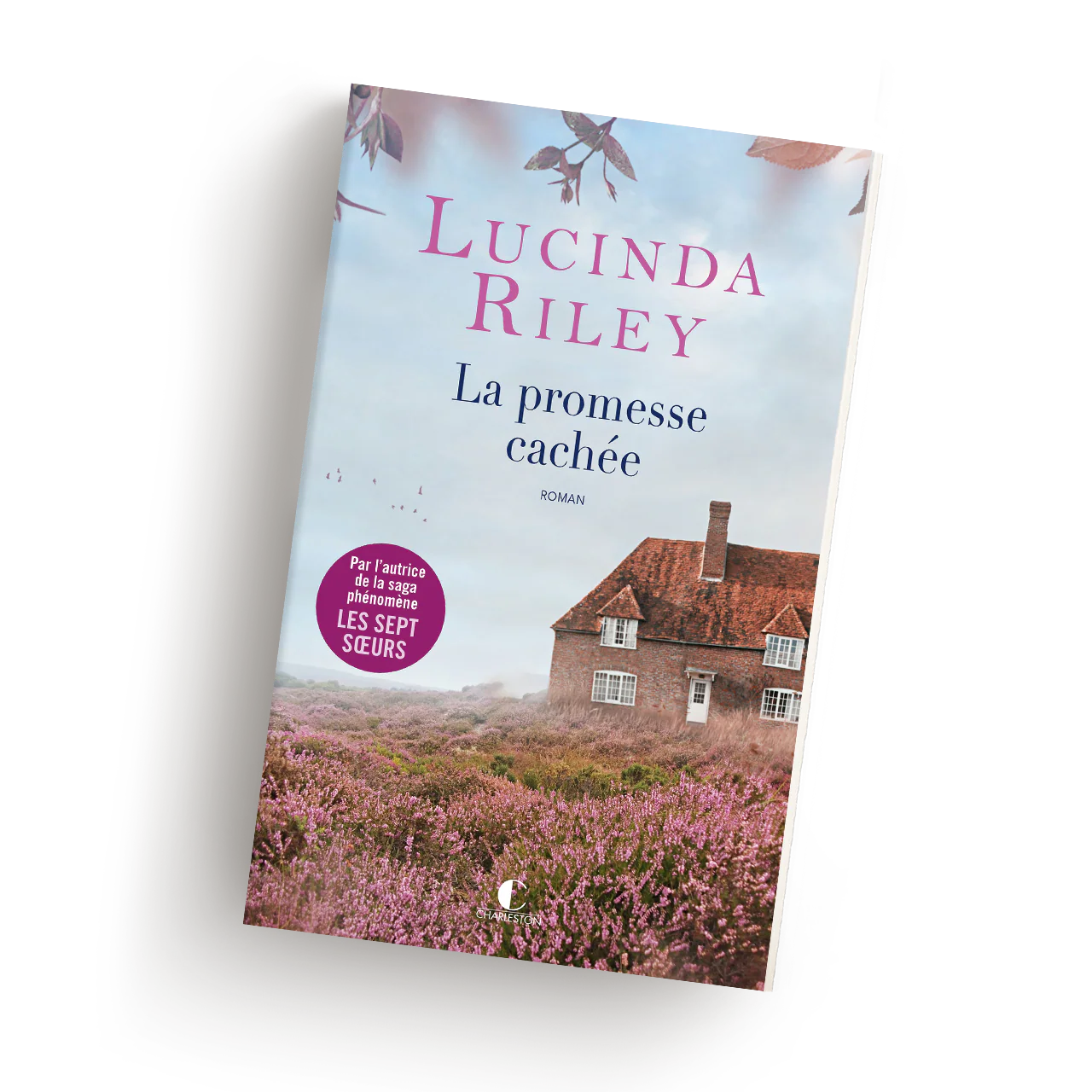 La Promesse cachée